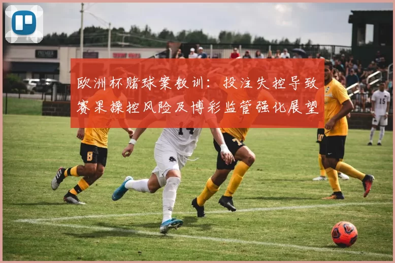 欧洲杯赌球案教训：投注失控导致赛果操控风险及博彩监管强化展望