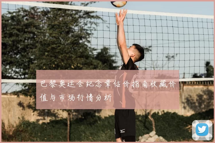 巴黎奥运会纪念章估价指南收藏价值与市场行情分析